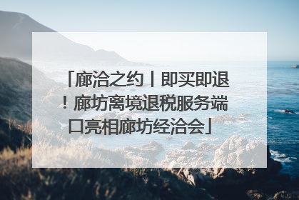 廊洽之约丨即买即退！廊坊离境退税服务端口亮相廊坊经洽会
