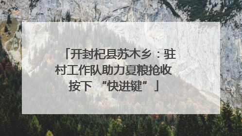开封杞县苏木乡：驻村工作队助力夏粮抢收按下 “快进键”