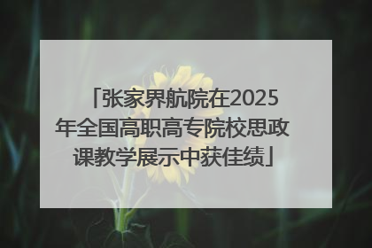 张家界航院在2025年全国高职高专院校思政课教学展示中获佳绩