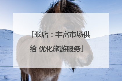 张店：丰富市场供给 优化旅游服务