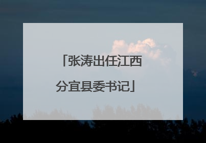 张涛出任江西分宜县委书记