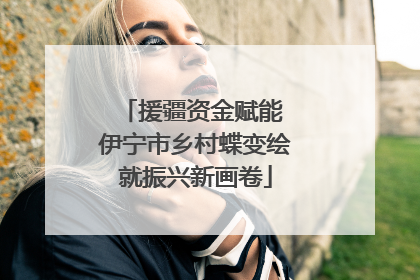 援疆资金赋能 伊宁市乡村蝶变绘就振兴新画卷