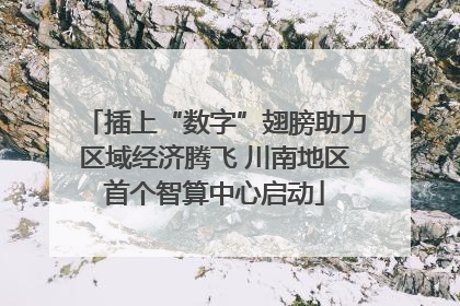 插上“数字”翅膀助力区域经济腾飞 川南地区首个智算中心启动