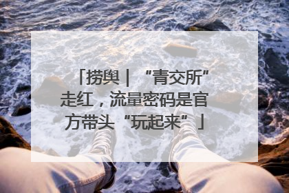 捞舆｜“青交所”走红，流量密码是官方带头“玩起来”