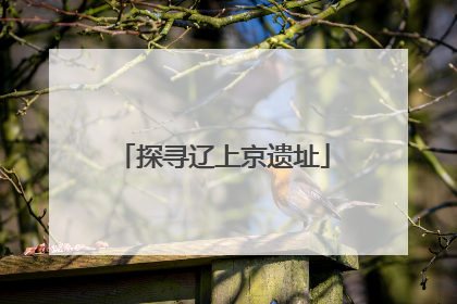 探寻辽上京遗址