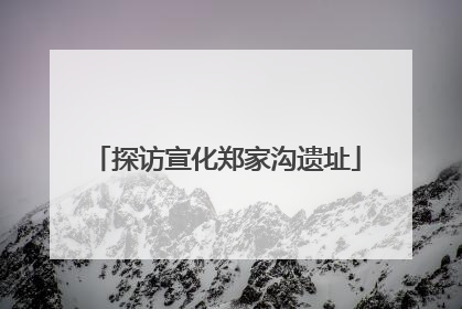 探访宣化郑家沟遗址