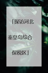 探访河北秦皇岛综合保税区