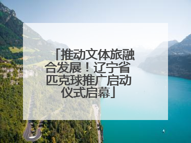 推动文体旅融合发展！辽宁省匹克球推广启动仪式启幕