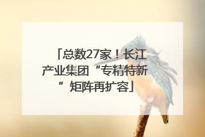 总数27家！长江产业集团“专精特新”矩阵再扩容