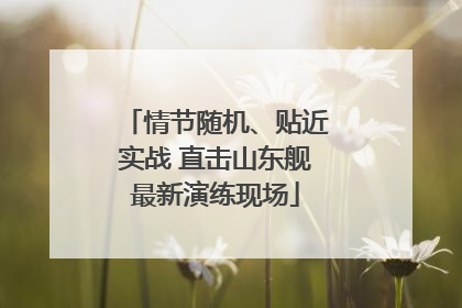 情节随机、贴近实战 直击山东舰最新演练现场