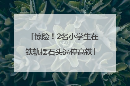 惊险！2名小学生在铁轨摆石头逼停高铁