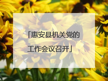 惠安县机关党的工作会议召开