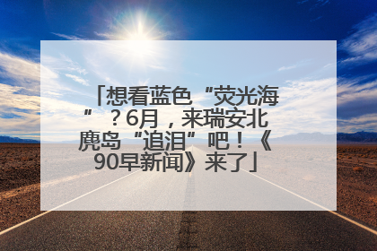 想看蓝色“荧光海”？6月，来瑞安北麂岛“追泪”吧！《90早新闻》来了