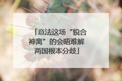 意法这场“貌合神离”的会晤难解两国根本分歧
