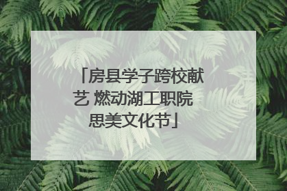 房县学子跨校献艺 燃动湖工职院思美文化节