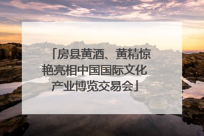 房县黄酒、黄精惊艳亮相中国国际文化产业博览交易会