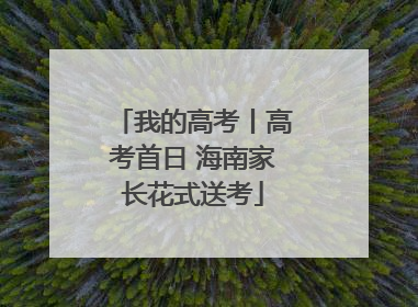 我的高考丨高考首日 海南家长花式送考
