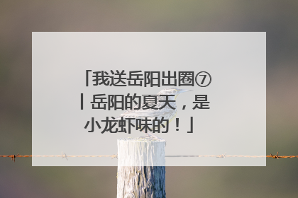 我送岳阳出圈⑦丨岳阳的夏天，是小龙虾味的！