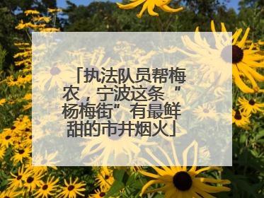 执法队员帮梅农，宁波这条“杨梅街”有最鲜甜的市井烟火