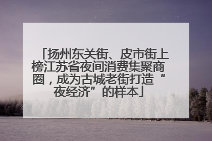 扬州东关街、皮市街上榜江苏省夜间消费集聚商圈，成为古城老街打造“夜经济”的样本