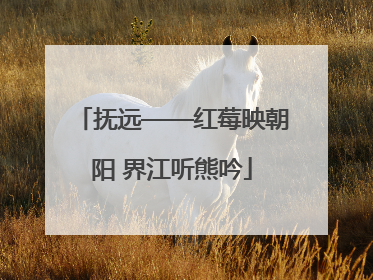 抚远——红莓映朝阳 界江听熊吟