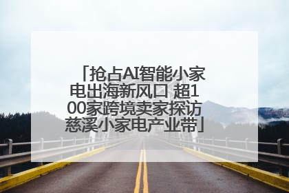 抢占AI智能小家电出海新风口 超100家跨境卖家探访慈溪小家电产业带