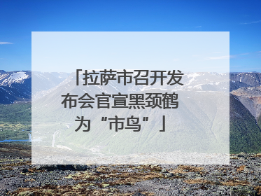 拉萨市召开发布会官宣黑颈鹤为“市鸟”