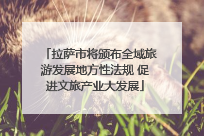 拉萨市将颁布全域旅游发展地方性法规 促进文旅产业大发展