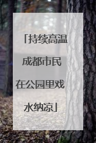 持续高温 成都市民在公园里戏水纳凉