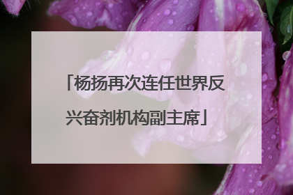 杨扬再次连任世界反兴奋剂机构副主席