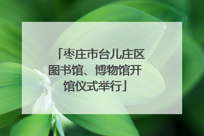 枣庄市台儿庄区图书馆、博物馆开馆仪式举行