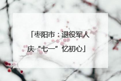 枣阳市：退役军人庆“七一”忆初心