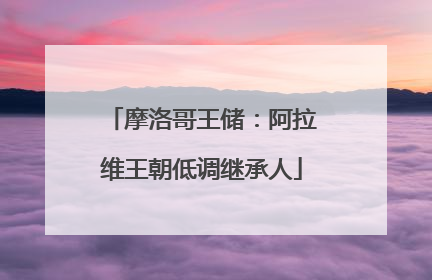 摩洛哥王储：阿拉维王朝低调继承人