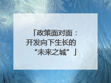 政策面对面：开发向下生长的“未来之城”