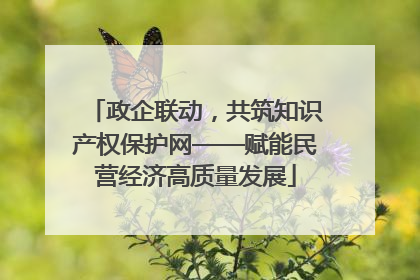 政企联动，共筑知识产权保护网——赋能民营经济高质量发展