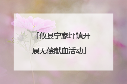 攸县宁家坪镇开展无偿献血活动