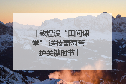 敦煌设“田间课堂” 送技葡萄管护关键时节