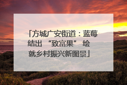 方城广安街道：蓝莓结出 “致富果” 绘就乡村振兴新图景