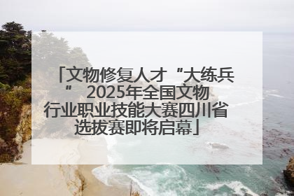 文物修复人才“大练兵” 2025年全国文物行业职业技能大赛四川省选拔赛即将启幕