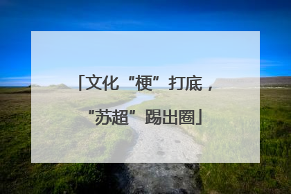 文化“梗”打底，“苏超”踢出圈