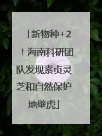新物种+2！海南科研团队发现素贞灵芝和自然保护地壁虎