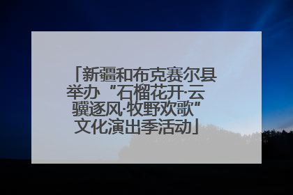 新疆和布克赛尔县举办“石榴花开·云骥逐风·牧野欢歌”文化演出季活动