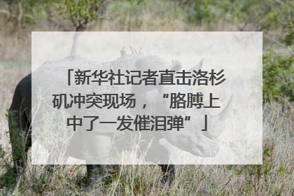 新华社记者直击洛杉矶冲突现场，“胳膊上中了一发催泪弹”
