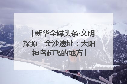 新华全媒头条·文明探源｜金沙遗址：太阳神鸟起飞的地方