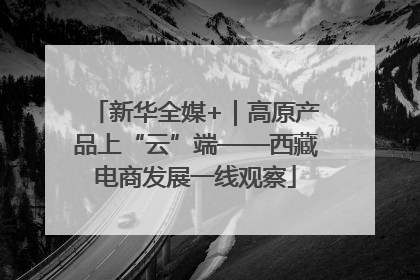 新华全媒+｜高原产品上“云”端——西藏电商发展一线观察