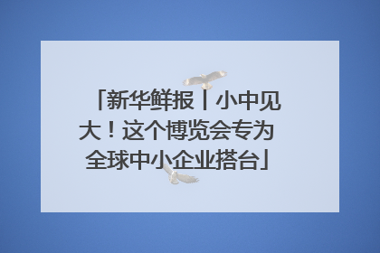 新华鲜报丨小中见大！这个博览会专为全球中小企业搭台