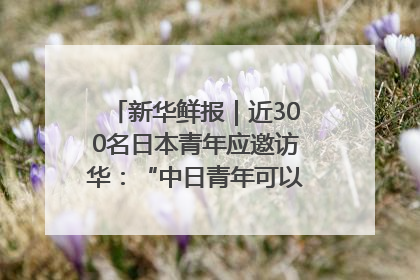 新华鲜报｜近300名日本青年应邀访华：“中日青年可以创造更好的未来”