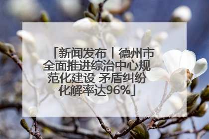 新闻发布丨德州市全面推进综治中心规范化建设 矛盾纠纷化解率达96%