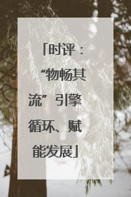 时评：“物畅其流”引擎循环、赋能发展