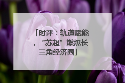 时评：轨道赋能，“苏超”燃爆长三角经济圈